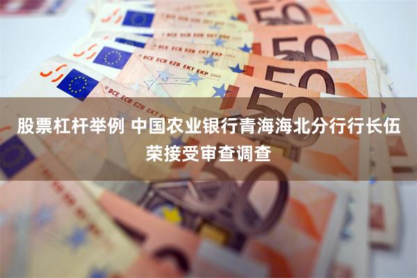股票杠杆举例 中国农业银行青海海北分行行长伍荣接受审查调查