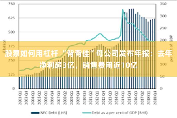 股票如何用杠杆 “背背佳”母公司发布年报：去年净利超3亿，销售费用近10亿