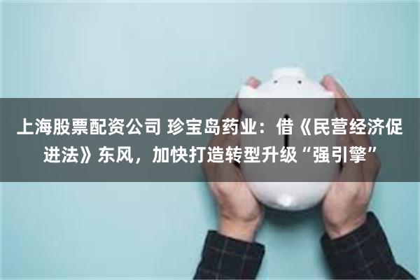 上海股票配资公司 珍宝岛药业：借《民营经济促进法》东风，加快打造转型升级“强引擎”